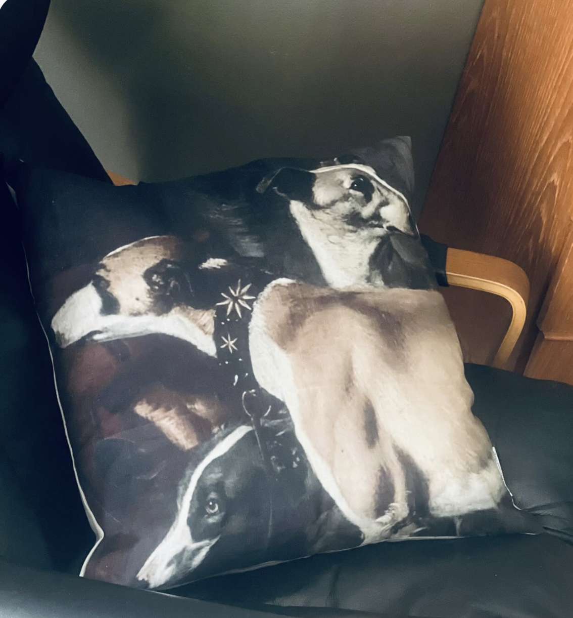 Barbara O'Donovan Whippets Cushion Square (COVER ONLY)