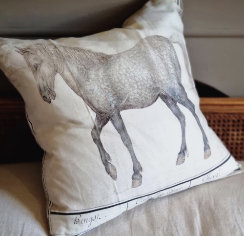 Barbara O'Donovan Grey Horse Cushion Square