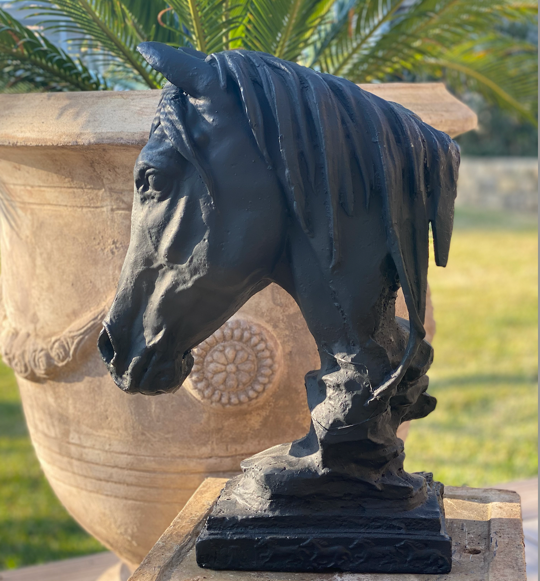Cast Iron Horse Head Black