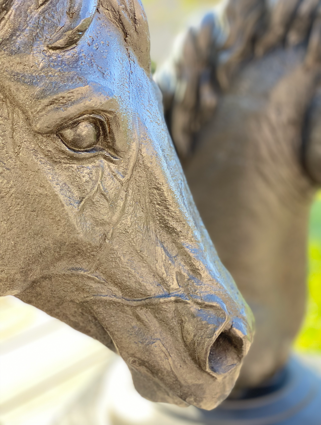 'Equus Study 1'  Bronze Gate Toppers - Set of two.