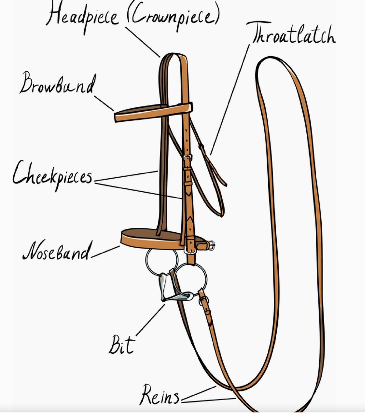 Rustic Bridle Hand Towel