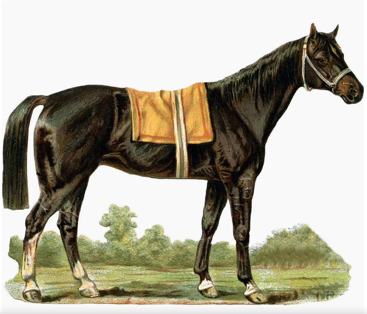 Art Horse Hand Towel