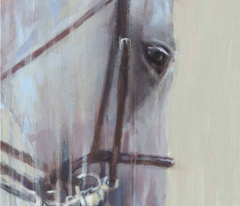 Summer Show Hunter - Vanessa Whittell